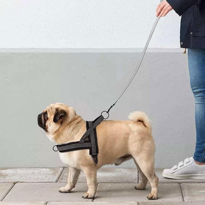 Didog No Pull Dog Harness with Breathable Mesh Padded, Full Reflective & Quick Fit Adjustable Vest Harness, Easy for Training Walking for Small & Medium and Large Dogs (Black, S:Chest 18-22")-PawvioPets