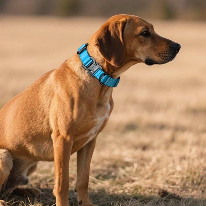 AirTag Dog Collar - Leather Dog Collar with Airtag Holder | IP68 Waterproof AirTag Holder with Metal Buckle, Comfortable GPS Dog Collars Tracker for Medium Large Dogs (Blue, L)-PawvioPets