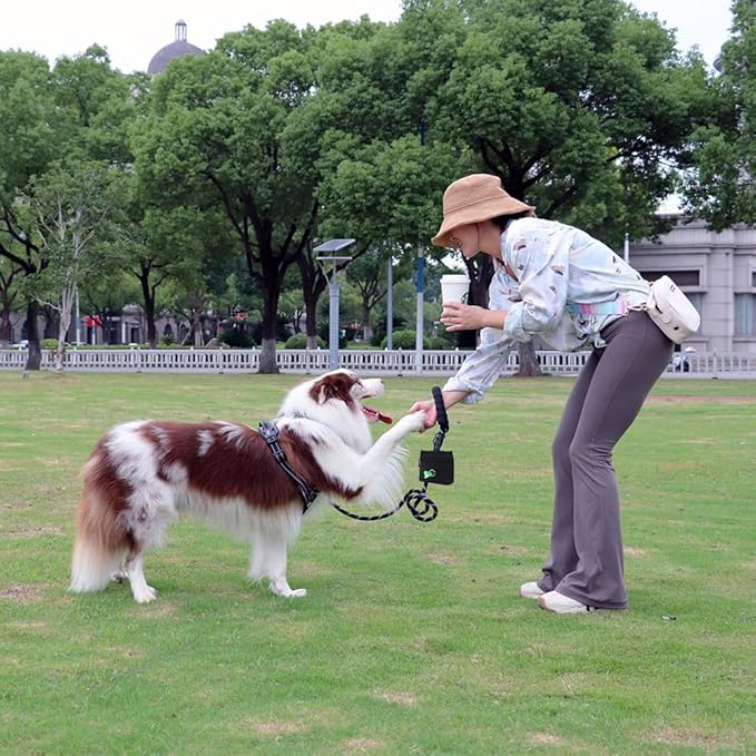COOWONE Dog Treat Pouch with Pet Training Clicker, Detachable Dog Puppy Training Treat Bag, 900D Oxford Cloth Magnetic Closure Small Dog Poop Bag Holder for Travel or Outdoor Use-PawvioPets