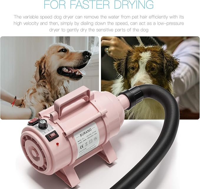 Burano Dog Dryer, High Velocity Pet Hair Dryer, 4.3HP Stepless Adjustable Speed Dog Hair Force Dryer for Dogs, Cats & More, Powerful Pet Blower with Heater-PawvioPets