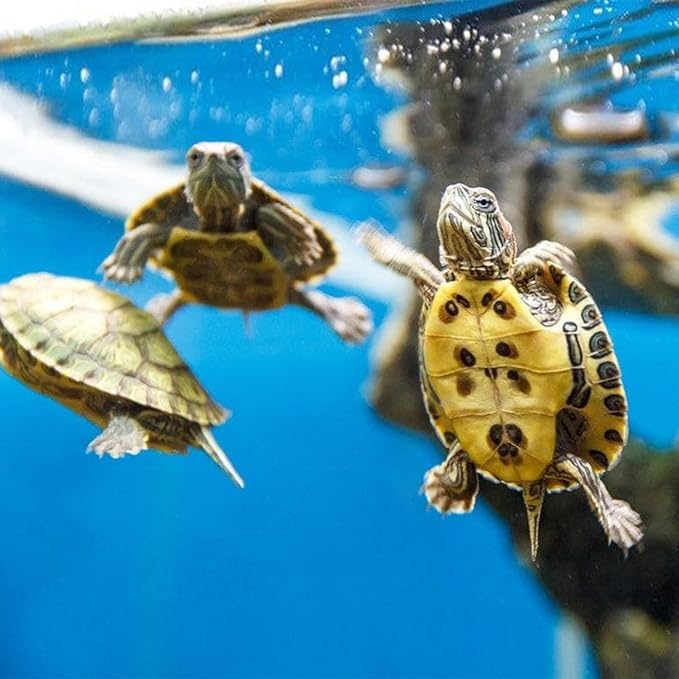 Aquarium Filter Cartridge for Whisper Bio Bag Power Filters, 6 Pack Assembled Large Filter Cartridges for Repto Filter-PawvioPets