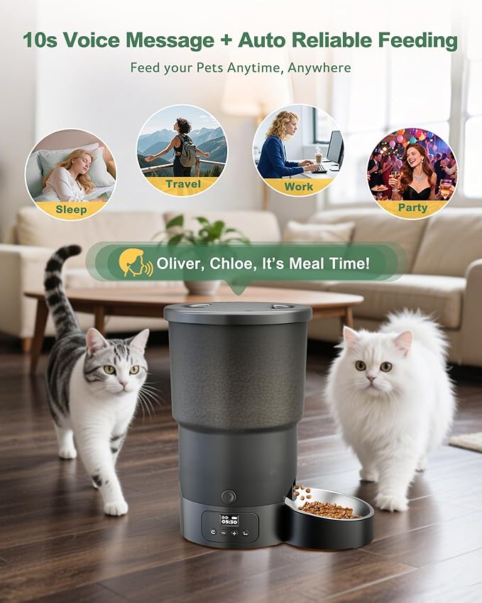 Gimars 5L/20 Cups Automatic Cat Feeder, Programmable 1-6 Meals Cat Food Dispenser with Stainless Steel Bowl, Easy Setup, Dual Power Supply,10s Meal Call Timed Pet Feeder for Cats and Small Dogs-PawvioPets