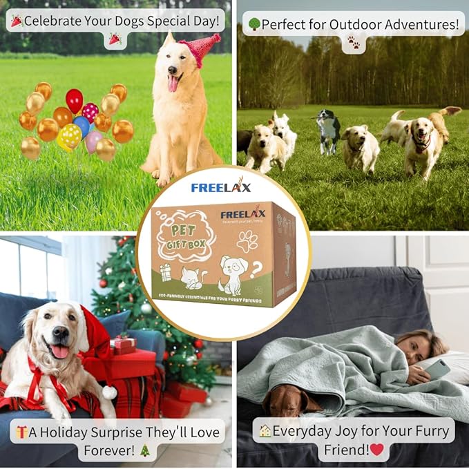 Durable Dog Chew Toys Gift Box β Eco-Friendly Teething Toys for Aggressive Chewers, Plush & Squeaky Toys, Toothbrush, Ideal Gift Basket for Medium & Large Dogs-PawvioPets