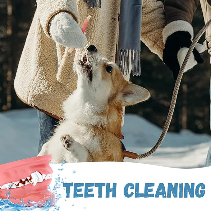 Dog Treats Chicken Wrapped Cod Sticks, Natural Chicken Cod Jerky Treats Rich in Omega-3, High Protein Chewy Training Treats Dog Snacks for Small Medium Large Dogs, 15-17 Counts, 10.6 oz-PawvioPets