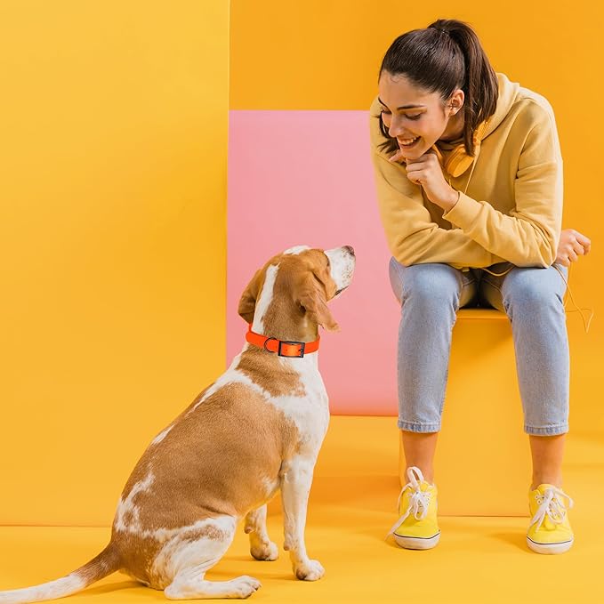 Dogline Biothane Waterproof Dog Collar Strong Coated Nylon Webbing with Black Hardware Odor- Proof for Easy Care Easy to Clean High Performance Fits Small Medium or Large Dogs, Hunter Orange-PawvioPets