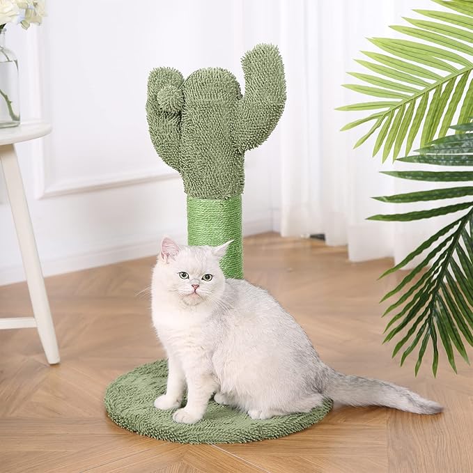 Amazon Basics Cat Scratcher - Indoor Cactus Single Cat & Kittens Scratching Post with Dangling Ball, Medium (25.6"H) - Green-PawvioPets