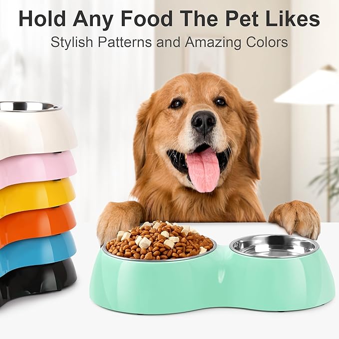 Elevated Dog Bowls Set - Non-Slip Raised Pet Feeder with Medium (2 Cups) & Large (4 Cups) Stainless Steel Bowls - Includes Durable Resin Stand for Puppies, Adult Dogs & Cats - Green-PawvioPets