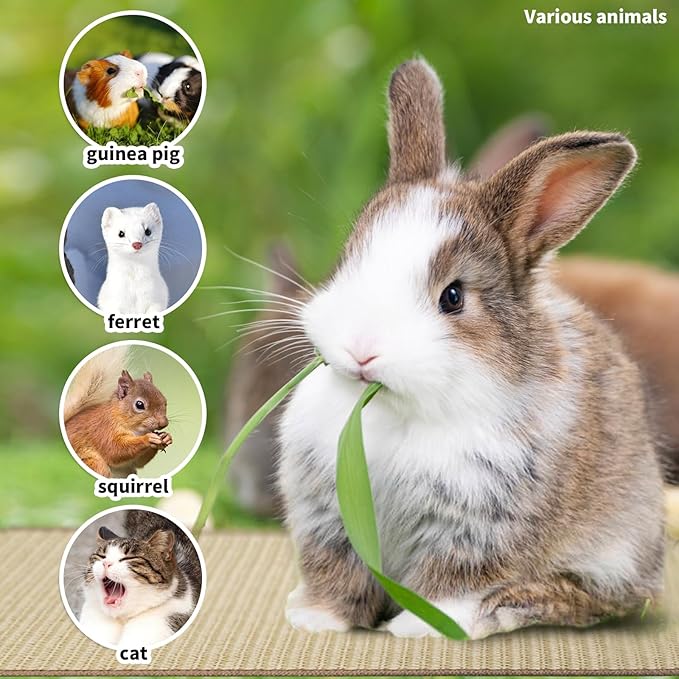 2Pcs Rabbit Scratch Mat,16 x 12 Inch Sisal Rabbit Scratching Pad,Rabbits Scratching Mats for Cages,Claws and Teeth Care Rabbits Chew Toys,Small Pet Bedding for Biting Sleeping Nesting-PawvioPets