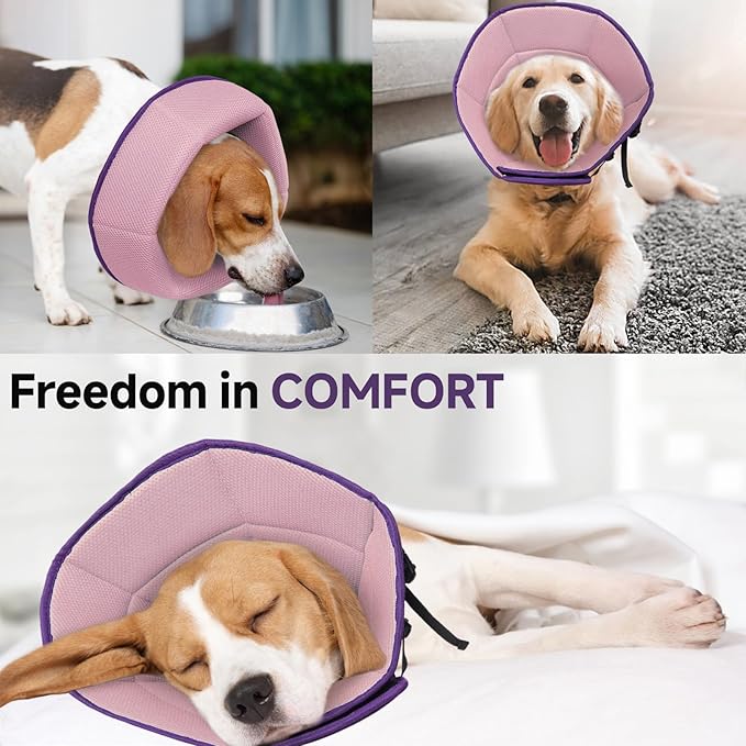 Dog Cone Collar XL, Soft Cones for Large Medium Small Dogs,Adjustable Dog Cone Alternative to Stop Licking, Comfy Elizabethan Collar for After Surgery Wound Healing & Hot Spots Purple-PawvioPets