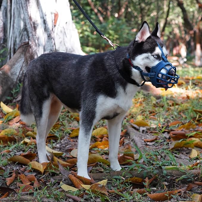 BARKLESS Dog Muzzle, Soft Basket Silicone Muzzle for Dogs to Prevent Biting and Chewing, Breathable Cage Mouth Cover for Training, Allows Drinking and Panting, Used with Collar-PawvioPets