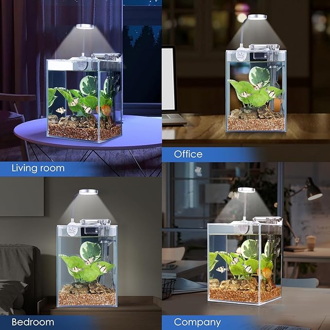 Desktop Glass Fish Tank 1.25 Gallons Small Aquarium Set, Self Cleaning Filter System Bright LED Light Gravel Plant Cleaning Tool, Betta Small Space Kit Easy Setup Space Saving Design-PawvioPets