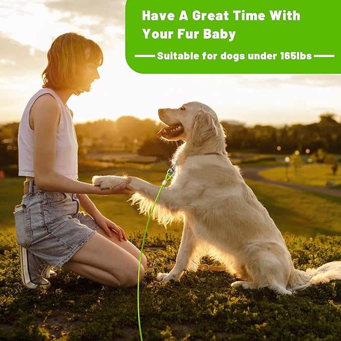 Dog Tie Out Cable 10/15/20/25/30 FT Runner for Yard Steel Wire Cable with Durable Superior Clips Green Chains for Outside Dog Lead for Large Up to 165 Lbs-PawvioPets