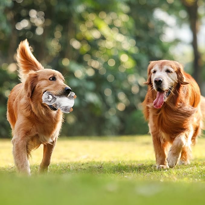 DODODOLA Dog Toys Plush Squirrel Stuffed Animals Chew Toy Soft Squeaky Gift for Small Medium Big Large Dogs Pet-PawvioPets