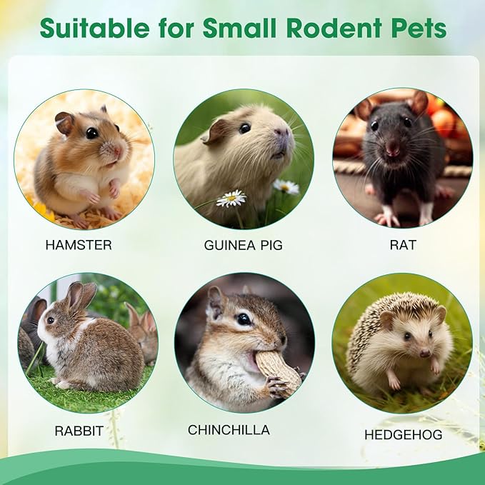 250g Natural Peach Wood Chew Sticks for Rabbits, Hamsters, Chinchillas - Extra Hard Teeth Grinding Toy | Untreated, Safe & Long-Lasting Rodent Chews-PawvioPets