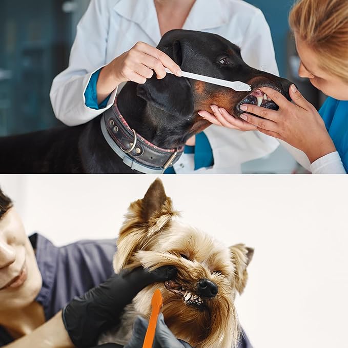 200 Pcs Dog Toothbrush Cat Tooth Brushes Bulk, Double Sided Brushing Kit, Teeth Cleaning Kit Soft Bristles Long Handle, Pet Tooth Brush for Small to Large Dog, Cat, Puppy & Kitten, 10 Colors-PawvioPets