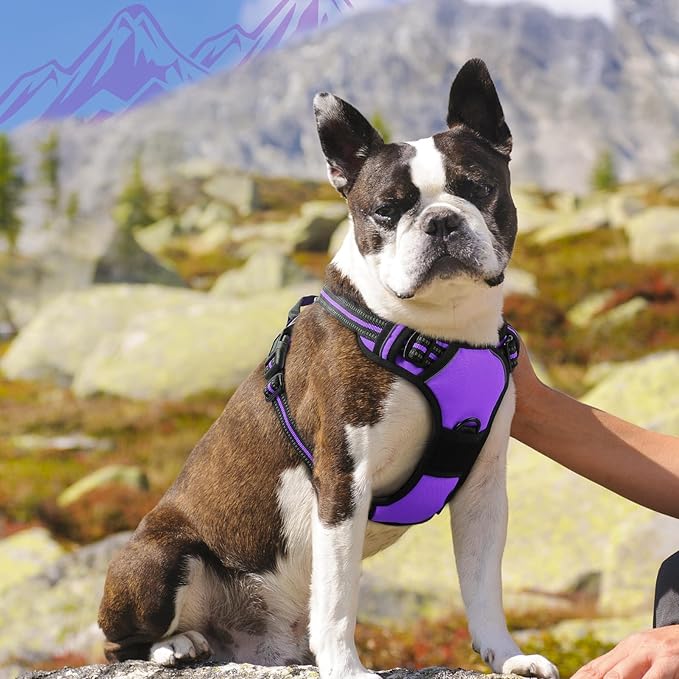 Eagloo Dog Harness Medium Sized Dog, No Pull Service Vest with Reflective Strips and Control Handle, Adjustable and Comfortable for Easy Walking, No Choke Pet Harness with 2 Metal Rings, Purple, M-PawvioPets