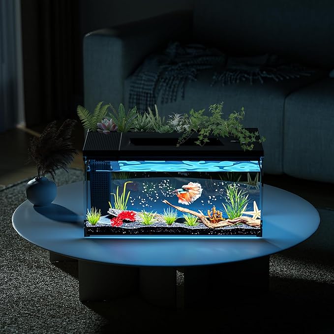 3.7 Gallon Betta Fish Tank self Cleaning,Smart Aquarium Aquarium kit with Filter Light Water Pump-PawvioPets