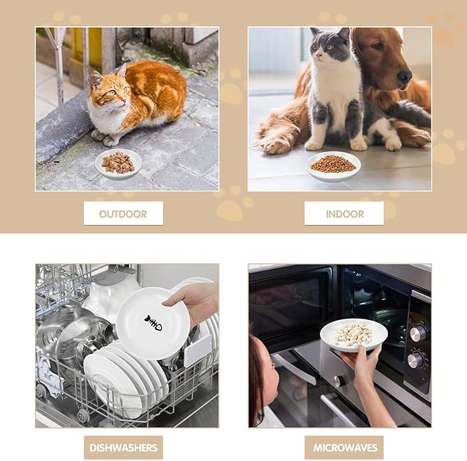 6 Pack Cat Food Bowl, Ceramic Cat Bowls, Anti Whisker Fatigue Cats Bowl Set,5.5 Inches Shallow Wide Kitten Plates for Food and Water (Fishbone Style)-PawvioPets