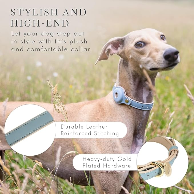 Cupertino Dog Collars, Harnesses & Leashes Made from Vegan Leather with Dog Tracker Device Holder Adjustable Dog Collar - Color Blue, Large-PawvioPets