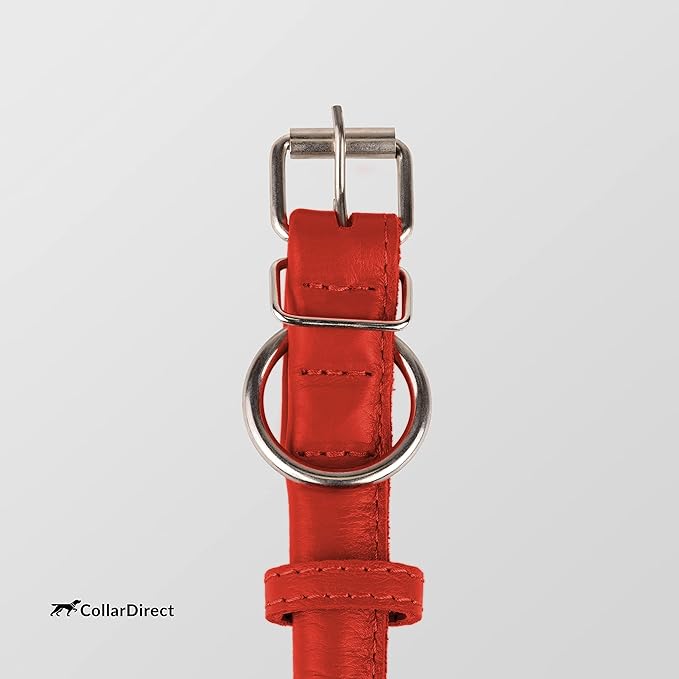 CollarDirect Rolled Leather Dog Collar, Soft Padded Round Puppy Collar, Handmade Genuine Leather Collar Dog Small Large Cat Collars 13 Colors (15-19 Inch, Red Textured)-PawvioPets