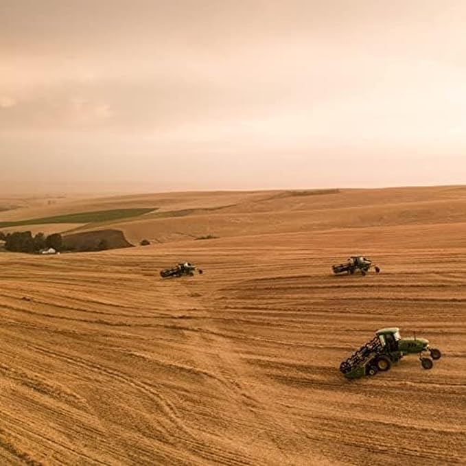 Blue Mountain Hay | Fresh Organic Meadow Hay (15 Ounce) | Mimics Natural Forage | High-Altitude Hay Pet Food for Rabbits, Guinea Pigs, Chinchillas, Hamsters, and Other Small Pets-PawvioPets