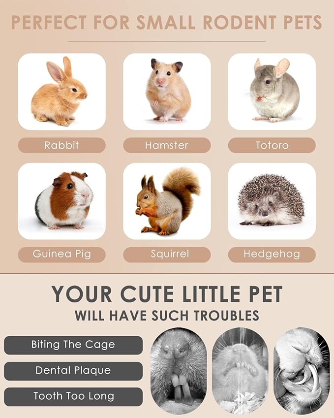 Bissap 12PCS Rabbit Chew Sticks, Hanging Chew Sticks & Cakes Timothy Hay Carrot Strawberry Treat for Bunny Chinchilla Guinea Pig Hamster and Other Small Pets Molar Snack Toy-PawvioPets