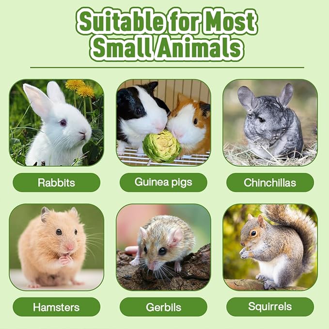 Abizoo Freeze Dried Brussels Sprouts Rabbit and Hamster Chew Treats Resealable Jar for Hamsters Bunny Guinea Pigs Groundhogs Natural Fiber Vitamin Snacks-PawvioPets