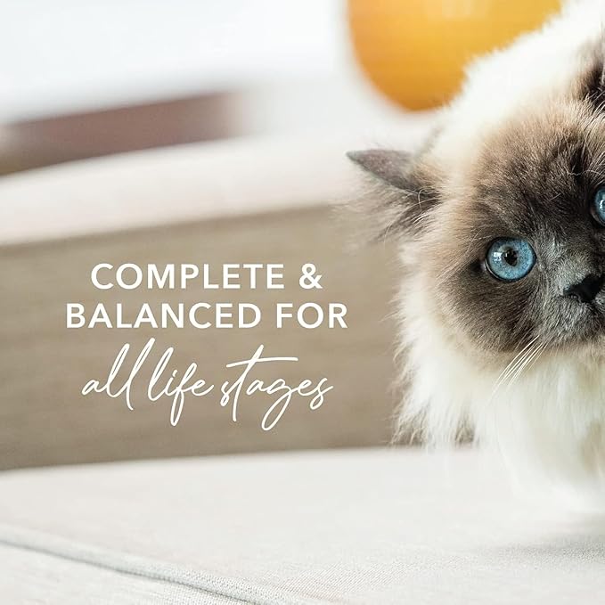 Feline Natural New Zealand Canned Catfood Wet Food, High-Meat, Low-Carb, & Grain Free Cat Food Wet, Beef & Hoki Feast, 3 oz, Pack of 24-PawvioPets