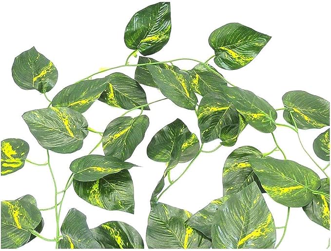 Boa Constrictor Habitat 10 Gallon Terrarium Kit-PawvioPets