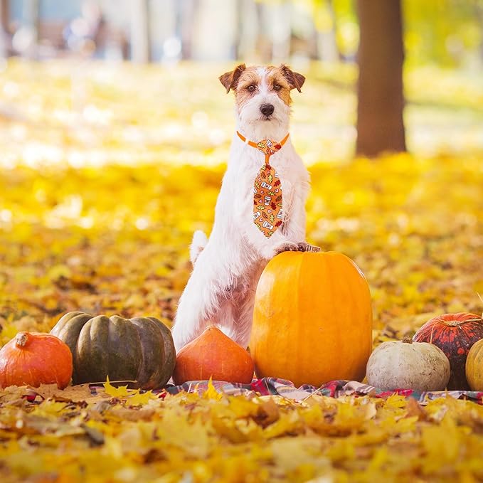 22pcs Fall Dog Bow Tie, Adjustable Bowtie Collar Attachment for Small Medium Pets, Bulk Neckties Set for Thanksgiving Day,Autumn Pet Supplies Charms Hair Costume Accessories(Maple Leaf, Pumpkin)-PawvioPets