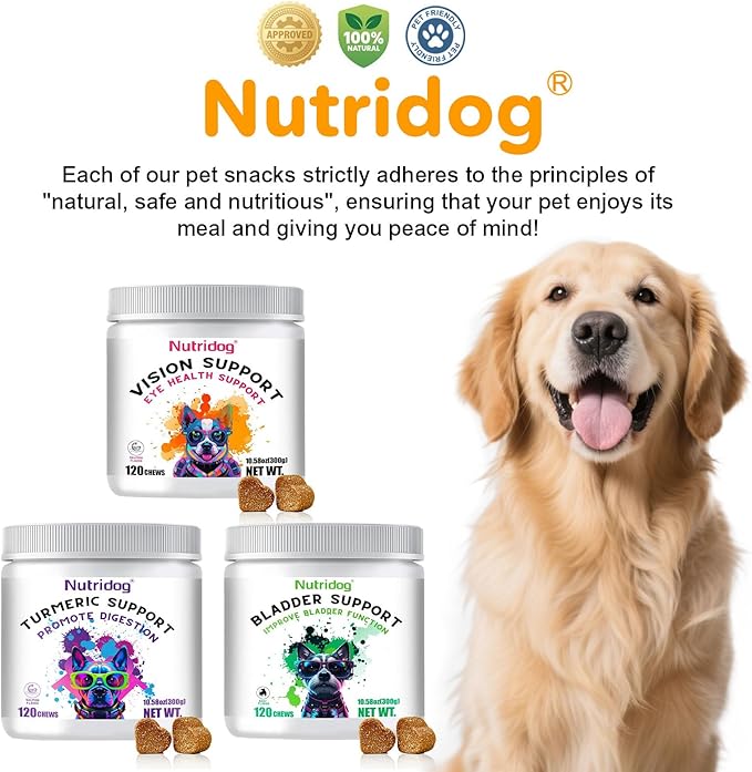 Eye Supplements for Dogs - Vision Support Soft Chews with Lutein, DHA & Vitamin C | 120ct Salmon Flavor Tear Stain Chews | Cataract & Dry Eye Relief Supplement (120 Ct, Salmon)-PawvioPets