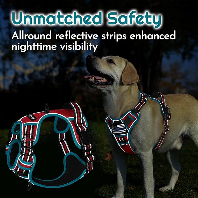 Eagloo Dog Harness Small Sized, Easy Wearing with 3 Buckles, Adjustable No Pull Pet Harness with 2 Rings for Walking, No Chock Reflective Soft Padded Vest with Control Handle, Red & Teal, S-PawvioPets