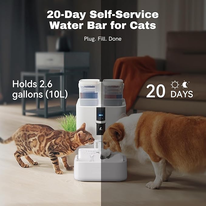Daily Fresh Cat Water Fountain 10L/338oz Self Filling and Cleaning, Pet Water Dispenser with Filter System for Dogs, 5G Wi-Fi Smart Bowl Wastewater Separation & No Slimy with Quiet Pumps-PawvioPets