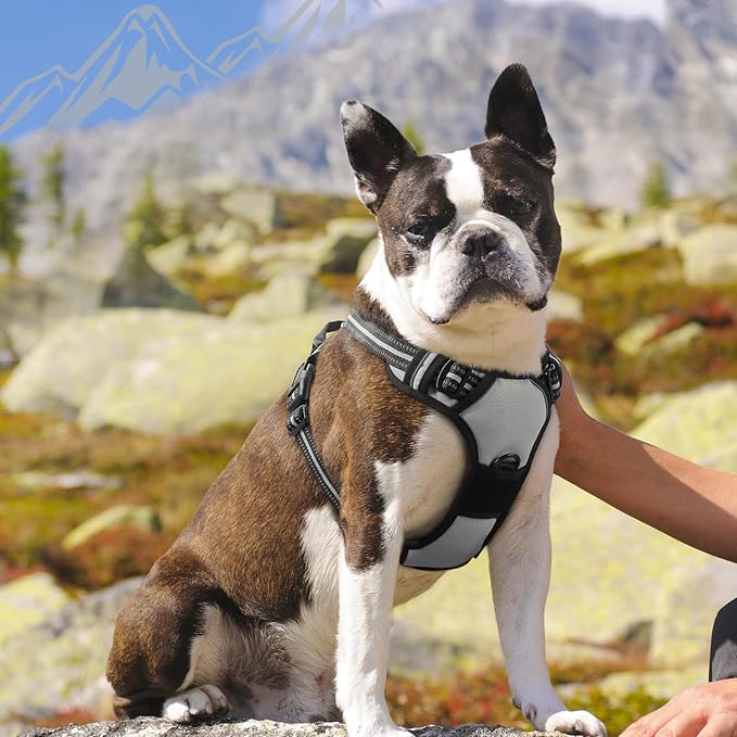 Eagloo Dog Harness Medium Sized Dog, No Pull Service Vest with Reflective Strips and Control Handle, Adjustable and Comfortable for Easy Walking, No Choke Pet Harness with 2 Metal Rings, Grey, M-PawvioPets