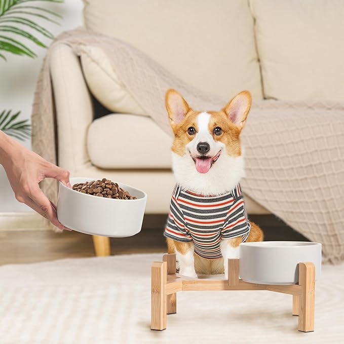 Elevated Ceramic Dog Bowl Set - Raised Dog Bowls with Non-Slip Bamboo Stand - Dog Food and Water Bowl Set - Double Dog Feeding Bowls - Suitable for Small and Medium Dogs - 28.74 OZ - 3.6 CUPS - 850 ML-PawvioPets