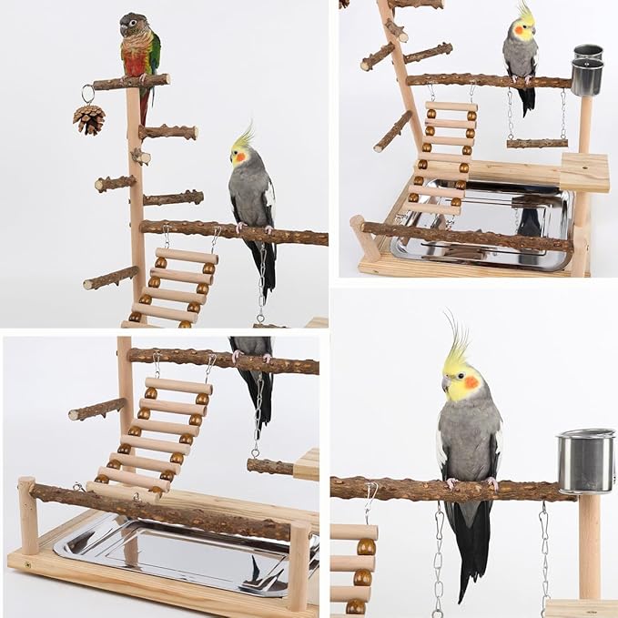 Bird Playground, Parrot Perch Stand, Natural Wood Bird Play Stands for Cockatiel Wood Perch Gym Playpen Ladder with Removable Tray and 2 Stainless Steel Cups, Bird Cage Accessories, Parrot Swing-PawvioPets
