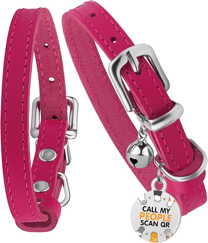 BRONZEDOG Leather Cat Collar with Removable Bells Non Breakaway Kitten QR Tag for Girl Boy (Pink & Silver, 9-12 inch)-PawvioPets