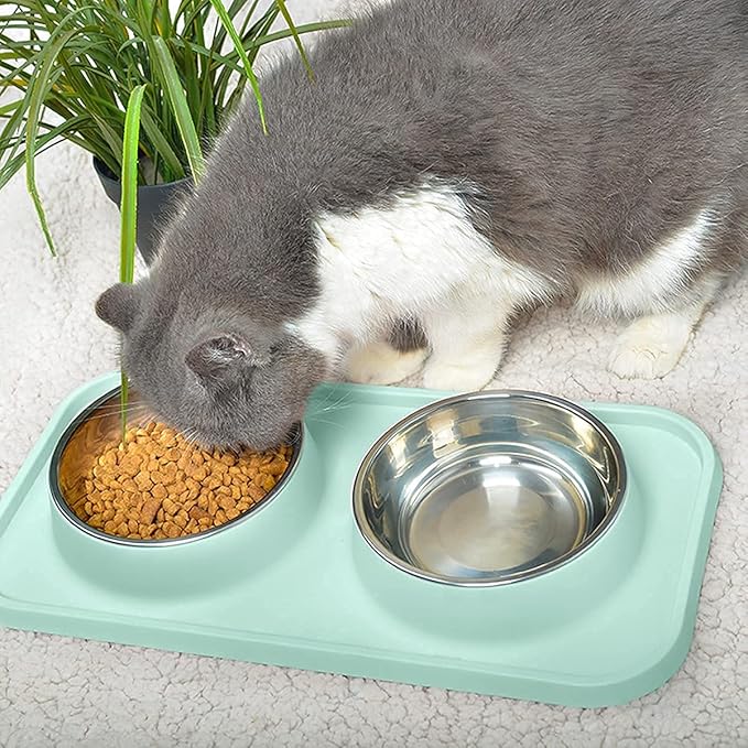 Cat Food Bowls, Cat Bowls Non-Skid and Non-Spill Silicone Pads with PP Stand, Removable Stainless Steel Food and Water Dishes for Cats, Small Size Dogs-PawvioPets