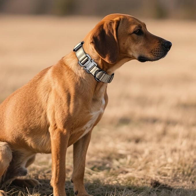 Airtag Dog Collar - Leather Dog Collar with Airtag Holder| IP68 Waterproof AirTag Holder with Metal Buckle, Comfortable GPS Dog Collars Tracker for Medium Large Dogs (Champagne Gold, XL)-PawvioPets