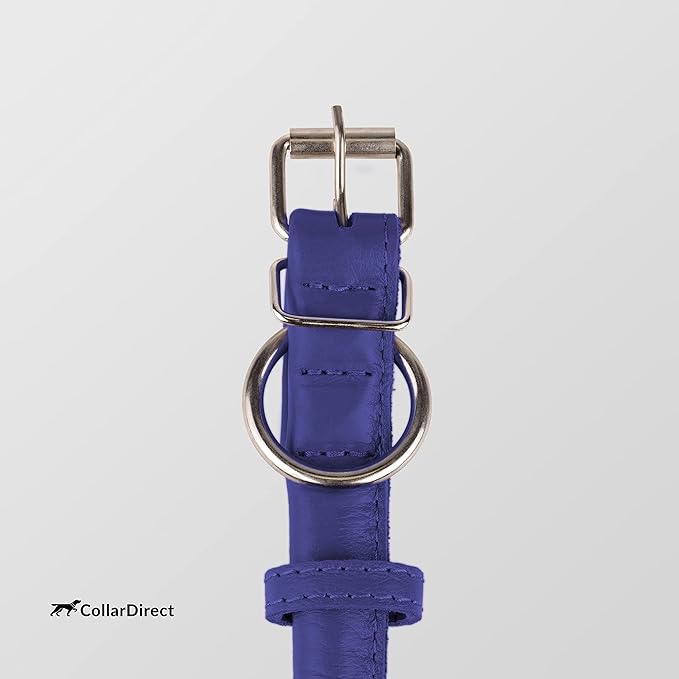 CollarDirect Rolled Leather Dog Collar, Soft Padded Round Puppy Collar, Handmade Genuine Leather Collar Dog Small Large Cat Collars 13 Colors (8-11 Inch, Purple Textured)-PawvioPets