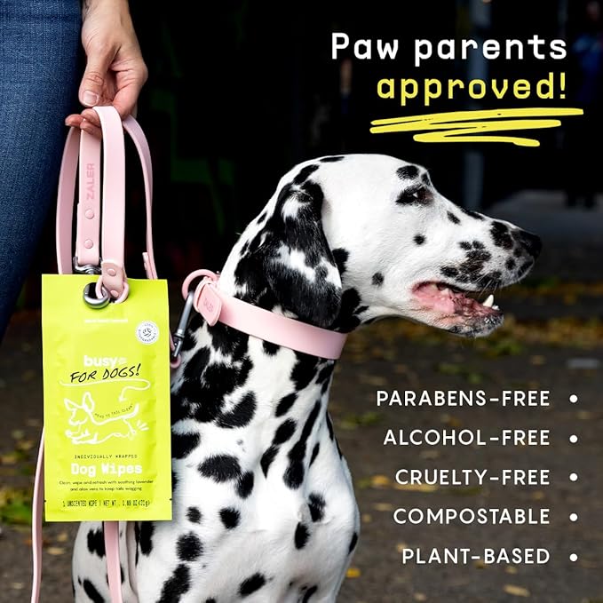 Busy Co. - Hypoallergenic Dog Wipes, Cleaning and Odor Control Grooming Wipes for Paws, Body, and Butt, Perfect for Puppy and Adult Dogs, Individually Wrapped, Unscented (Unscented, 20 Grooming Wipes)-PawvioPets