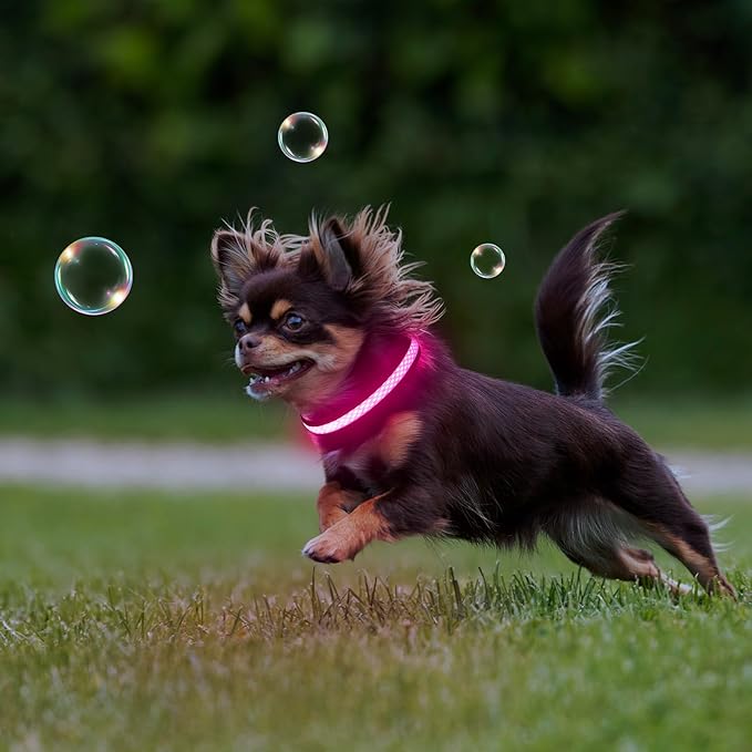 Flashseen LED Cat Collar,Light Up Dog Collar Rechargeable, Dog Lights for Night Walking, Comfortable Soft Mesh Pet Collar Adjustable for Cats Puppy and Small Dogs(Pink, XS)-PawvioPets