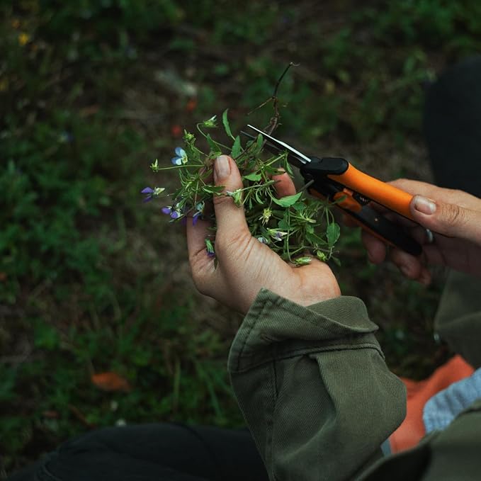 Fiskars Micro-Tip Pruning Snips - 6" Garden Shears with Sheath and Comfort Grip - Sharp Steel Blades - Quality Pruning Shears for Plants in Grow Tents and Hydroponics - Garden Tools-PawvioPets