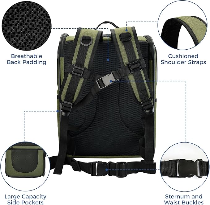 Apollo Walker Dog & Cat Carrier Backpack for 4-15lb Pets - Ventilated Safe Design with Padded Back Support, Breathable Mesh Pet Backpack for Hiking, Travel, Outdoor (Green)-PawvioPets