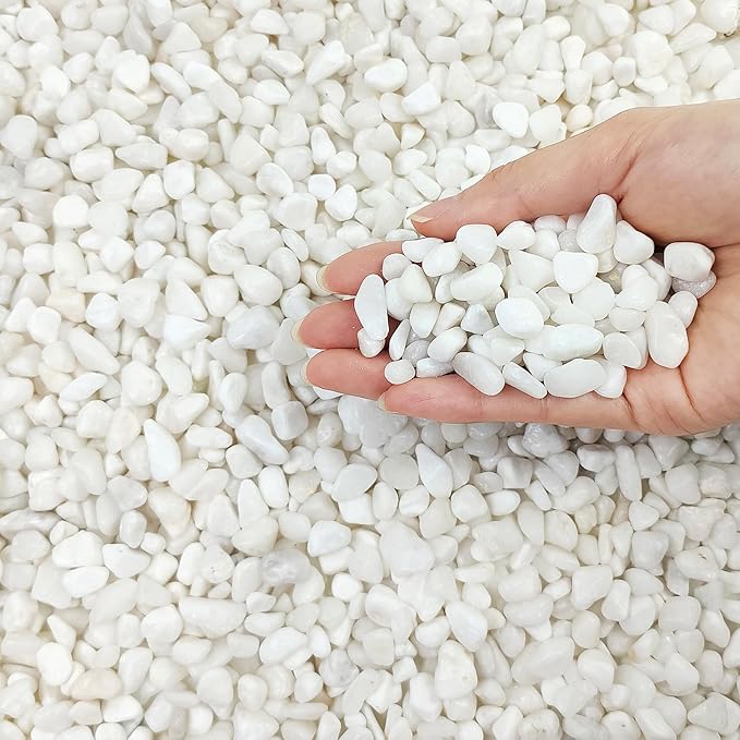 5 lbs White Pebbles for Indoor Plants, 3/8 Inch Decorative White Gravel, Polished River Rocks for Potted Plants Vase Cactus Bird Bath and Outdoor Garden Landscaping-PawvioPets