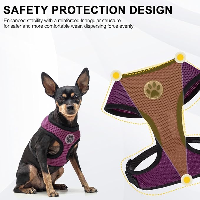 BINGPET Small Dog Harness - Breathable Mesh Puppy Cat Harnesses - No Pull Adjustable Dog Harness Dog Vest Harness for Small and Medium Dogs-PawvioPets