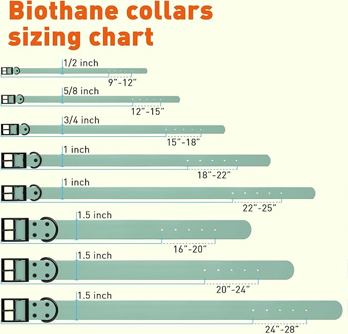 Dogline Biothane Waterproof Dog Collar Strong Coated Nylon Webbing with Black Hardware Odor- Proof for Easy Care Easy to Clean High Performance Fits Small Medium or Large Dogs, Sage Green-PawvioPets