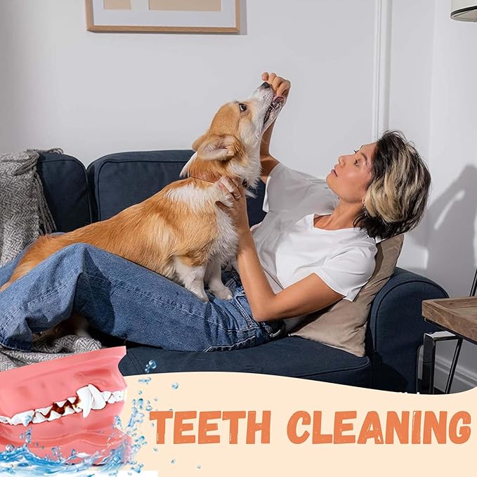 Dog Treats Chicken Jerky Strips for Dogs, Natural Healthy Dog Jekry with Taurine, Real Chicken Twists High Protain Low Fat, Training Rewards Treats for Small Medium Large Dogs 10.6 oz-PawvioPets