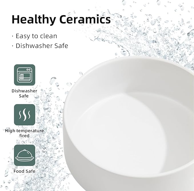 Ceramic Raised Double Bowls Set with Stand, 2 Heights Elevated, Food & Water Bowls for Small Breed Dogs, Weighted Dog Dishes, Pet Bowl(6.1'',28.7oz, White)-PawvioPets