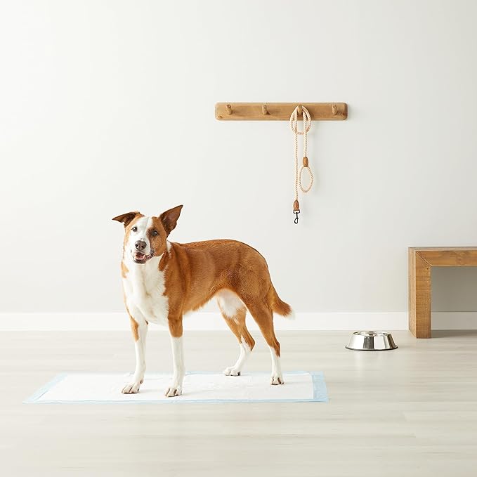 Amazon Basics Leakproof Dog and Puppy Pee Pads with 5-Layer Quick-Dry Surface for Potty Training, Standard Absorbency, Giant, 27.5 x 44Inch, Pack of 40, Blue & White-PawvioPets